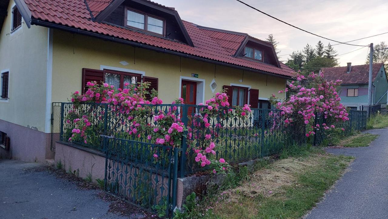 Апартаменты Kuca Za Odmor ,Erdelj 21 B Generalski Stol Экстерьер фото
